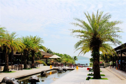 韩七妹韩式料理