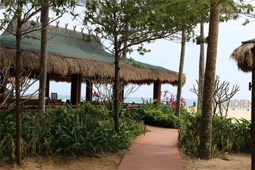 多洗爱车垫清洗