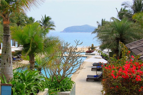 喵想吃金汤酸菜鱼