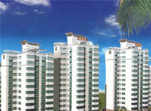 长沙丹记平江香干食