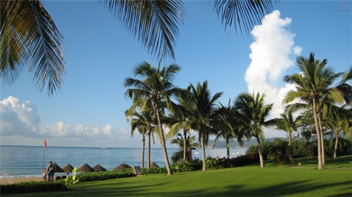 桔莓柚苹奶茶加盟在岳阳市要求多吗，岳阳市开奶茶加盟店前期投资大吗