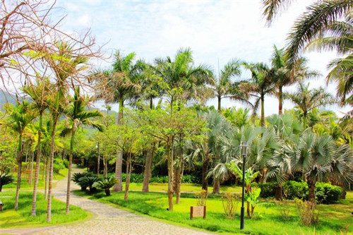 餐饮厨房明档怎么设计