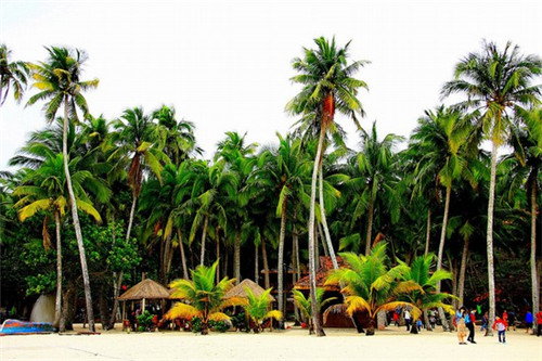 早点创业 加盟店赚钱吗，早点加盟店需要多少钱