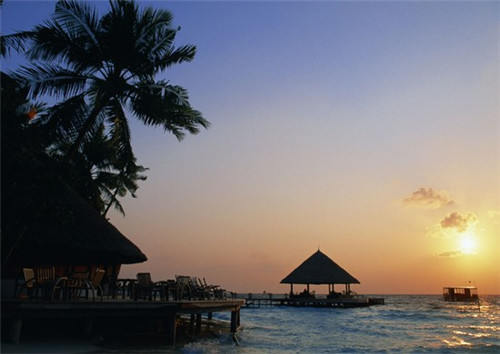 炸姜油搭配什么菜好吃（姜油炸的功效）