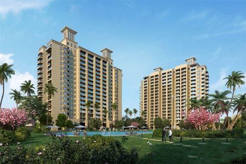 炒花菜炒豆芽怎么炒（炒花菜炒豆芽怎么炒好吃）