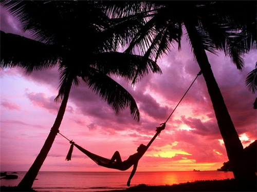 香蕉什么品牌（香蕉哪个品牌好）